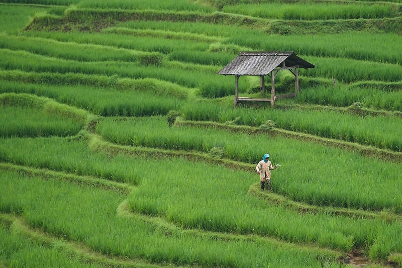 Zero-G Farming